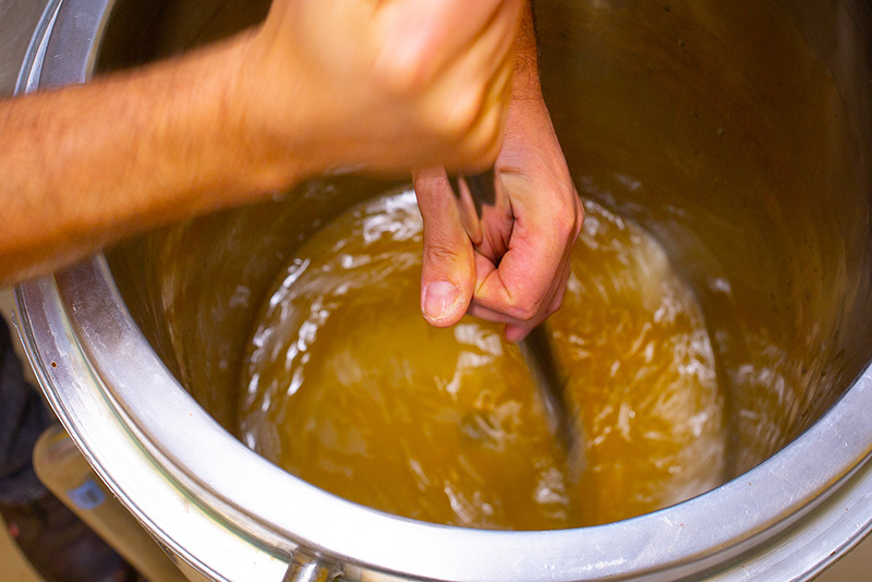 Pied de cuve et fermentation du mout - Brassage